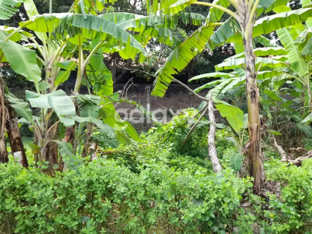 TANAH TANGKUBAN PERAHU PADANGSAMBIAN DENPASAR, BALI