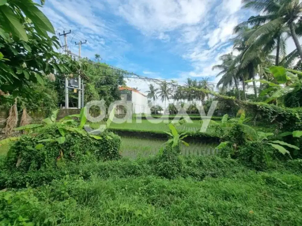 TANAH PROF IDA BAGUS MANTRA GIANYAR, BALI