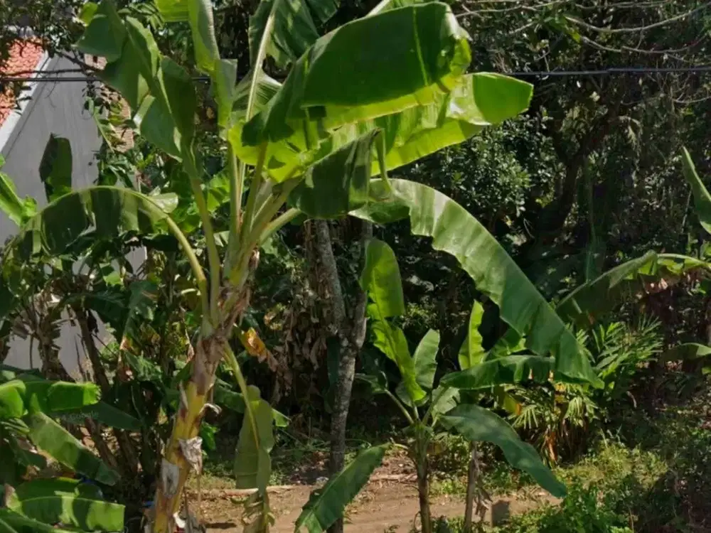 TANAH SIAP BANGUN JUAL MURAH DEKAT HAVANA HILLS JERUKLEGI