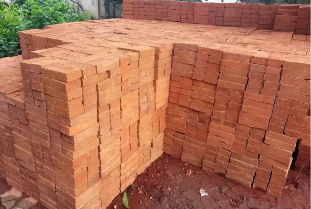 Jual bata merah jumbo 20x10x5