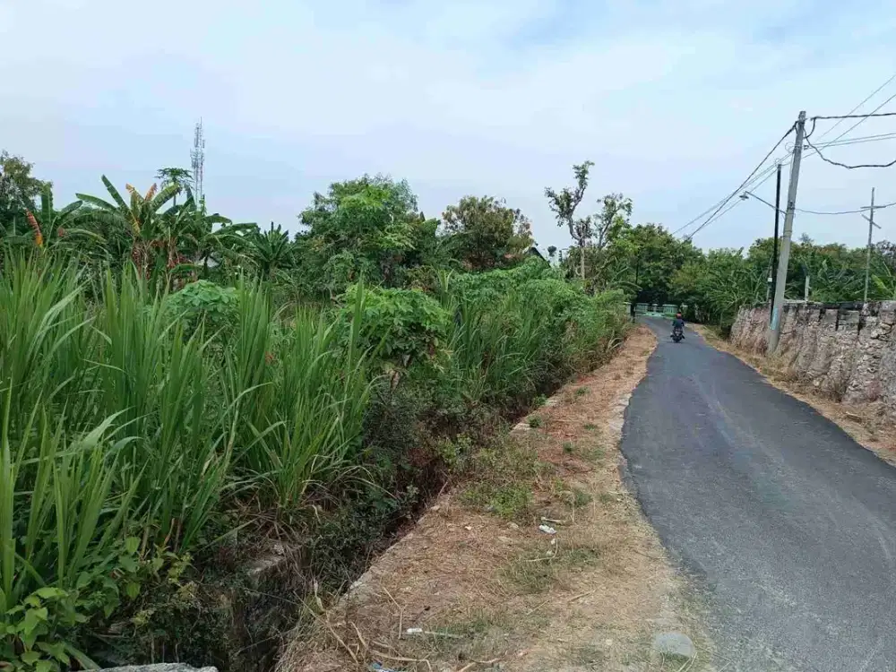 Dijual Tanah SHM di Desa Sugihwaras Tuban