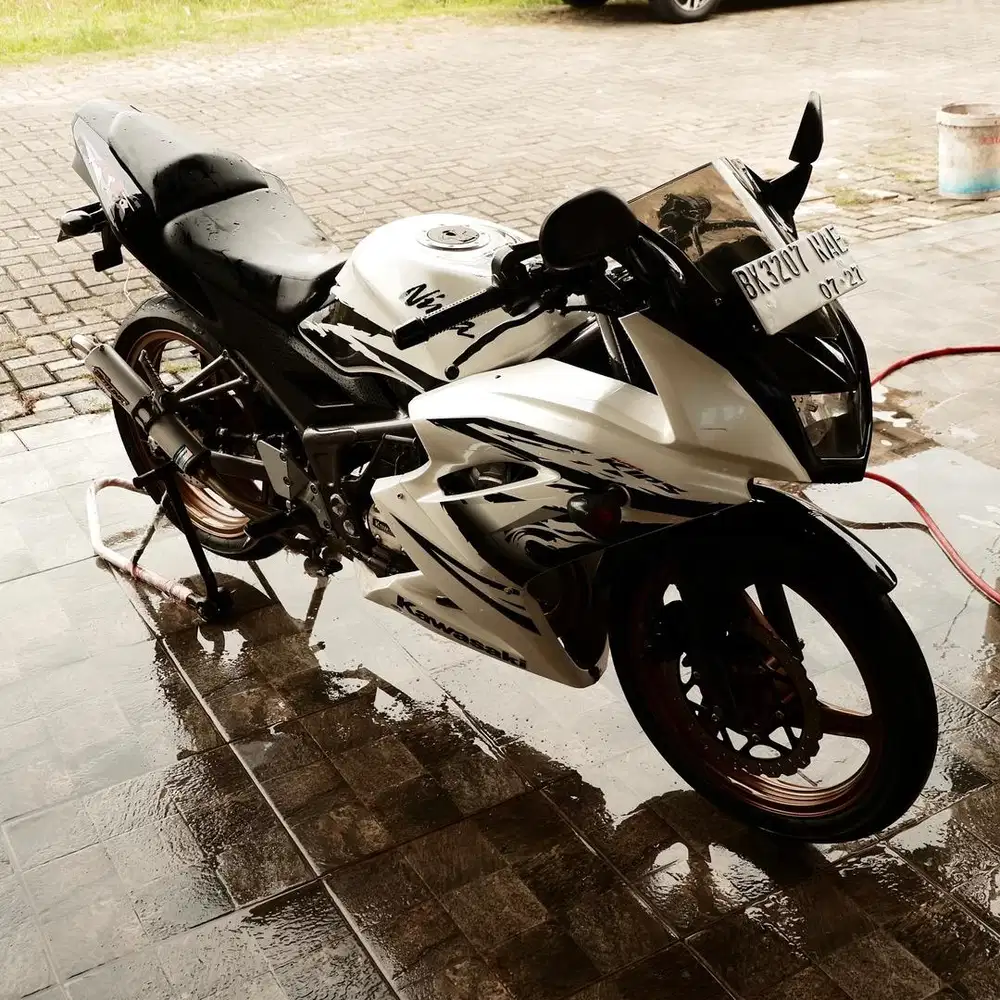 Ninja RR NEW Mentah original