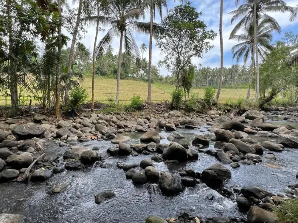 Di jual tanah dengan view sungai dan sawah di tabanan bali