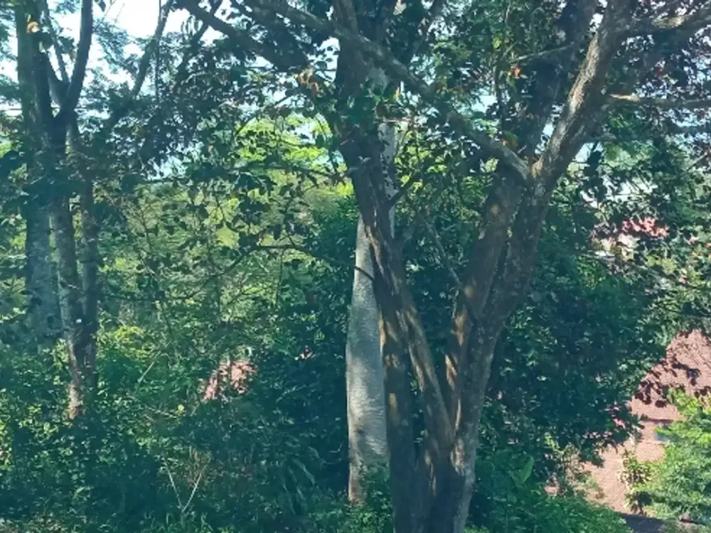 Tanah pusat Kota, View 7 Gunung