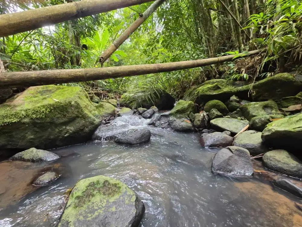 Dijual tanah murah dekat villa los sungai di bali