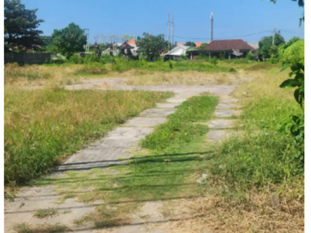 Tanah 46 Are di Suwung Denpasar
