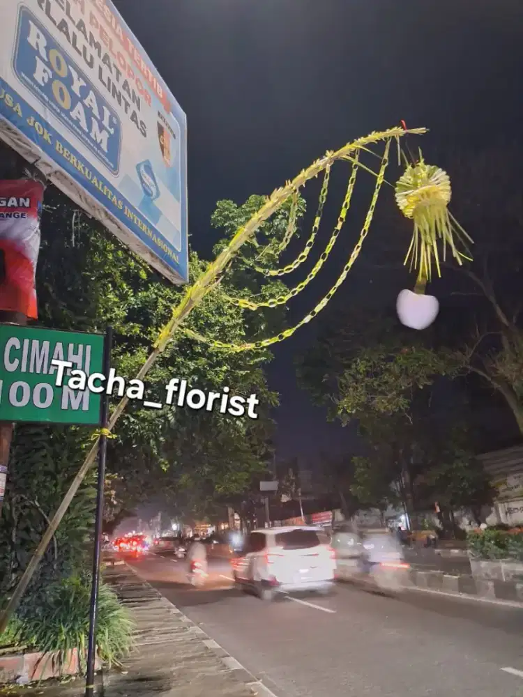 Janur kuning segar satu set untuk pernikahan dan khitanan cimahi bdg