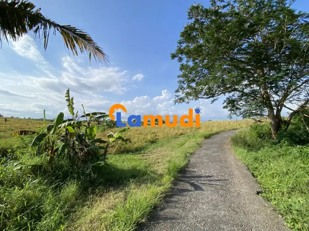 Tanah dekat pantai klecung