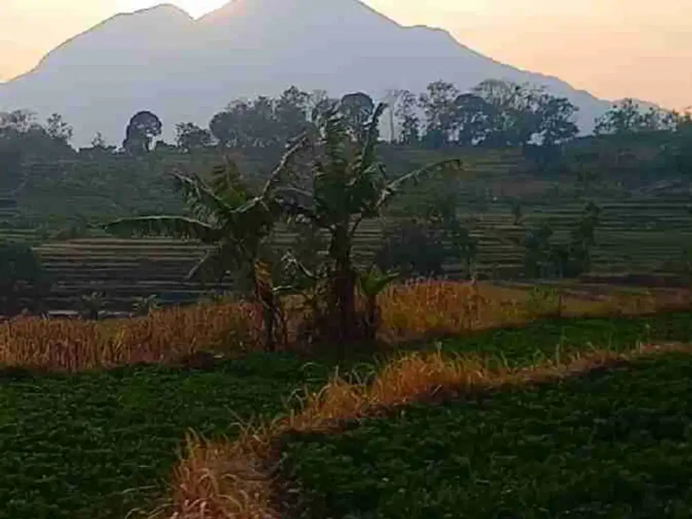 DI JUAL TANAH MURAH B.U VIEW GUNUNG NOL JALAN ASPAL
