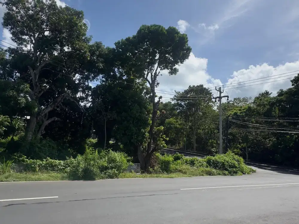 Dijual Tanah Komersial Jl Raya Kampus Udayana Jimbaran