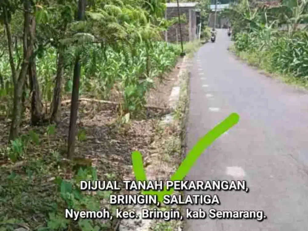 DIJUAL TANAH BRINGIN, SALATIGA, 30 MENIT JL. RAYA PROVINSI