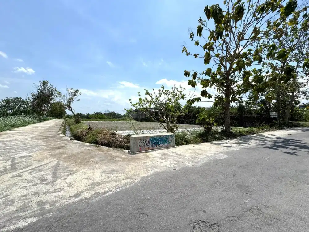 Cocok Bangun Villa Maupun Hunian, Tanah Murah Jogja Utara