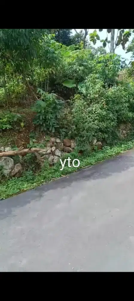 Jual tanah lokasi karangpandan fiu bagus lt 423m hrg 250jt nego