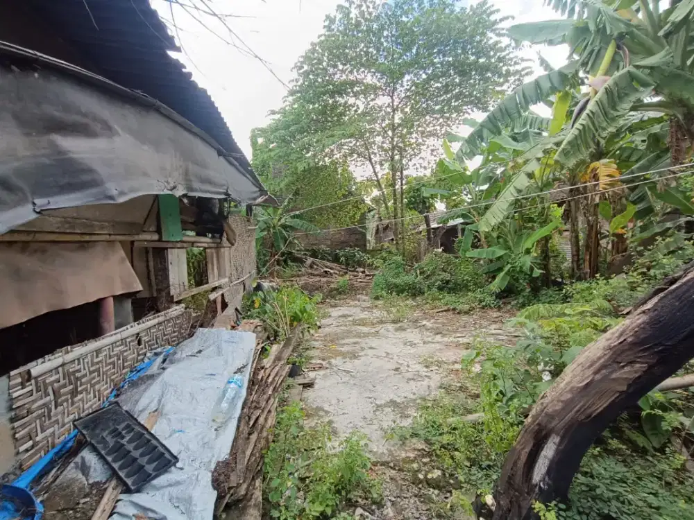 Tanah 125 dekat jayawijaya mojosongo solo