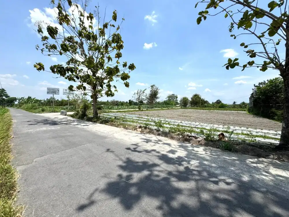 Tanah Murah Sleman Jogja, SHM Pekarangan Siap Bangun