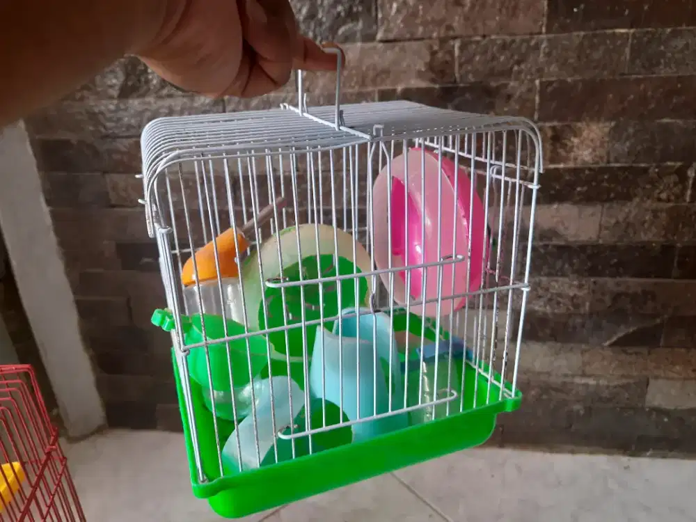 Kandang Hamster Kecil Lengkap Aksesoris