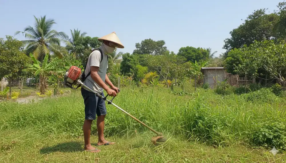 potong rumput lahan dan tebang pohon