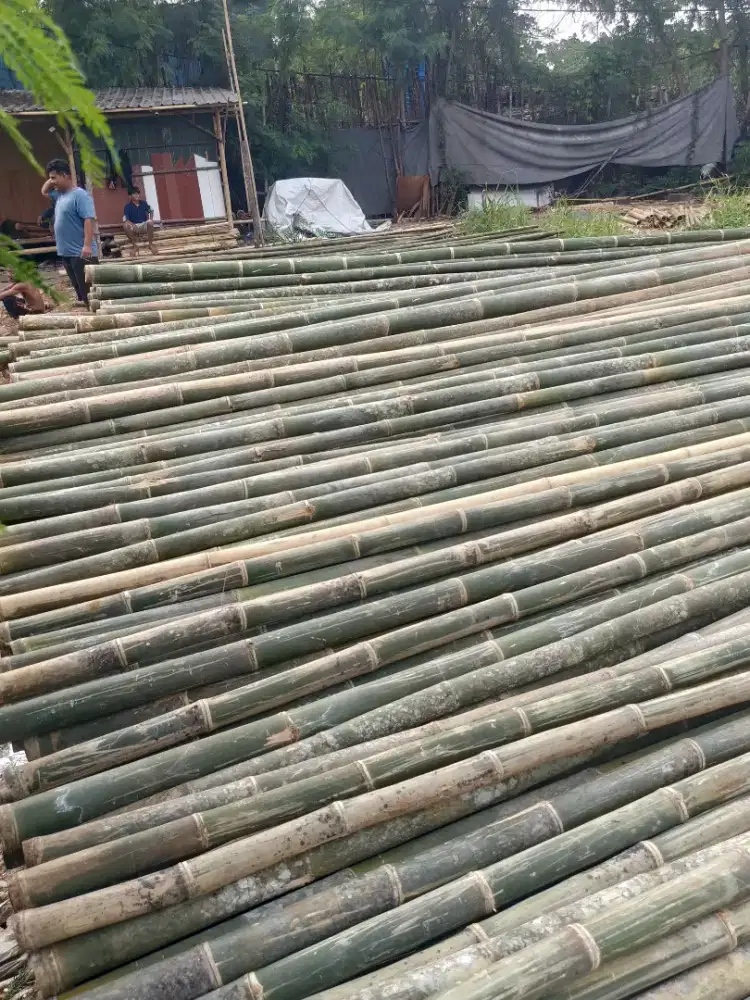 Jual bambu steger cor