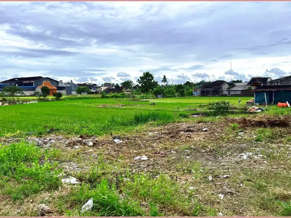 Tanah  Jl. Krakatau Trihanggo Siap Akad Notaris