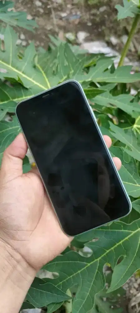 iphone 11 128 wifi only