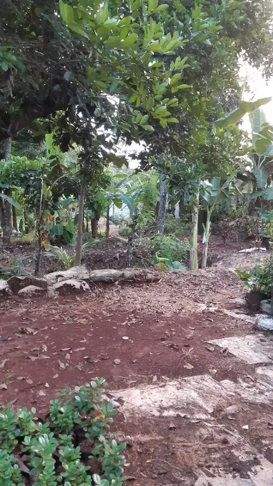Tanah Dijual BU