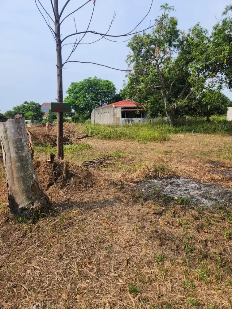 Dijual Cepat Kebon/Tanah Strategis di daerah karawang
Luas: 185 M, SHM