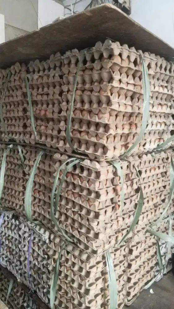 Cari driver buat di toko telur