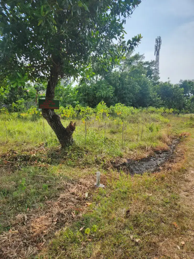 Dijual Cepat Kebon/Tanah Darat Strategis di daerah Klari karawang