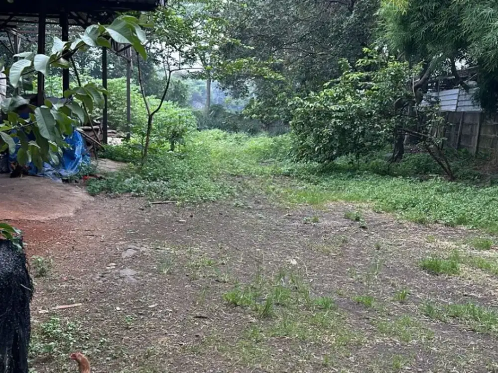 Dijual Tanah SHM 2420m2 di Jl Serpong Parung By Rumah Chinida (Lw)