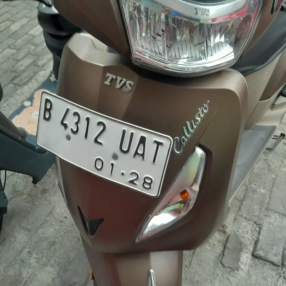Callisto brown TVS