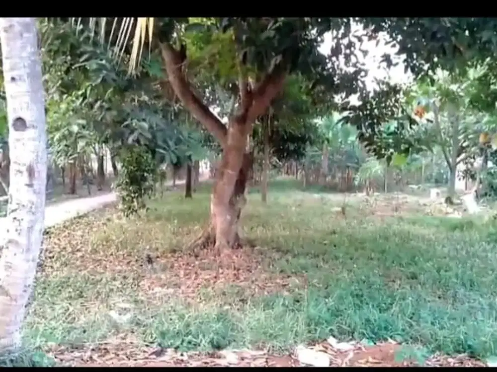 Dijual Tanah SHM Luas 1.126 Di Mustika Jaya Kota Bekasi