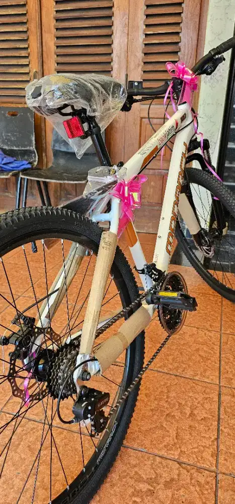 SEPEDA MTB 26 Monarch 260 By Polygon