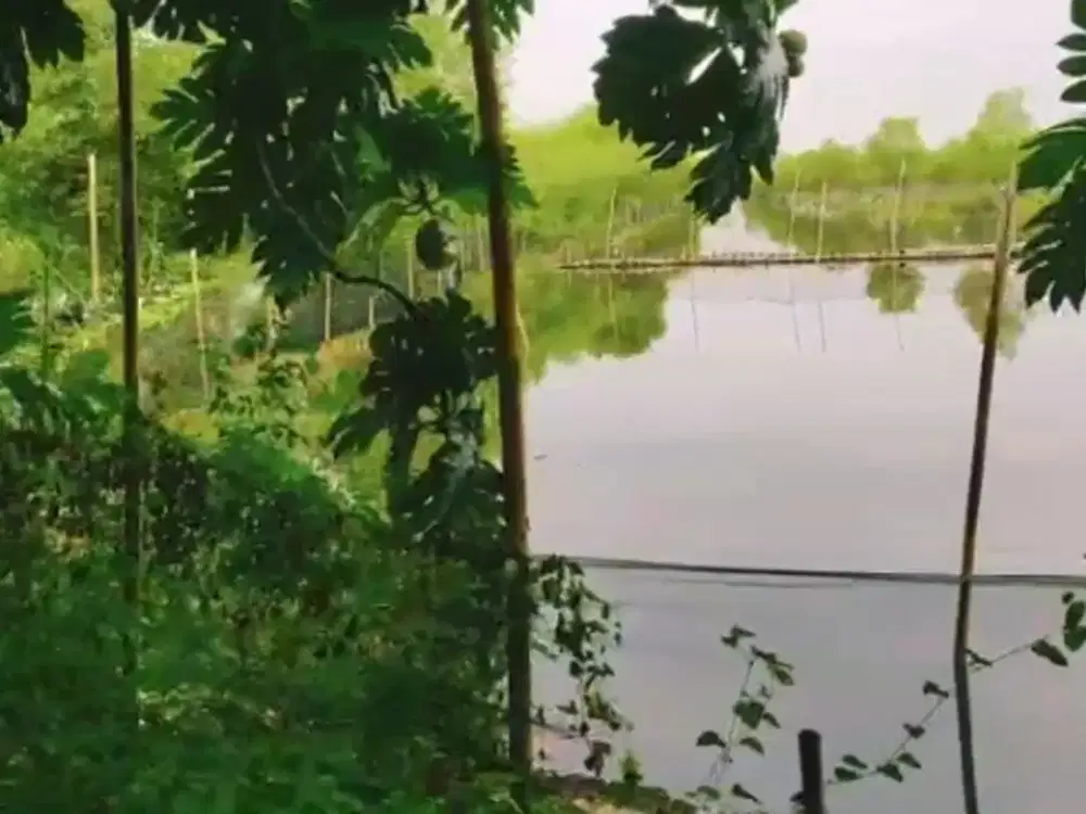 Dijual lahan zona industri di Kaliwungu Kendal Jawa Tengah