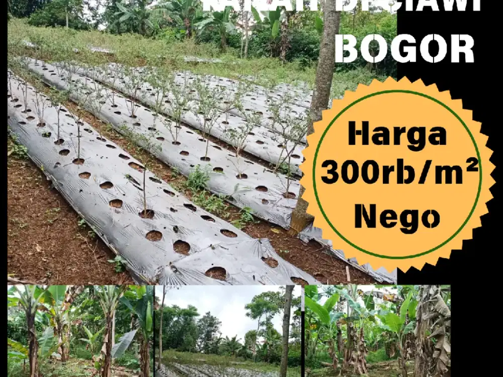 DIJUAL TANAH DI CIAWI BOGOR Cocok untuk Pertanian atau Villa