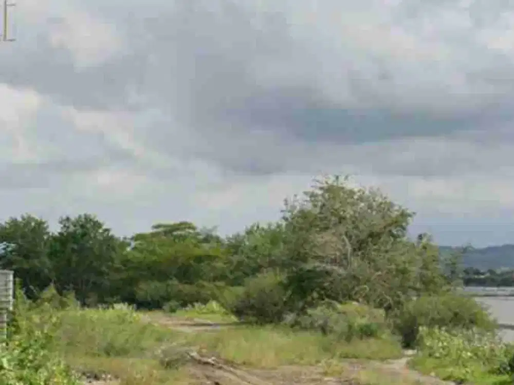 Disewakan lahan tanah 5000 m tepi jalan pelabuhan Kaliwungu Kendal