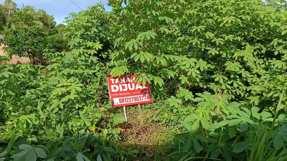 JUAL TANAH STRATEGIS BT 8