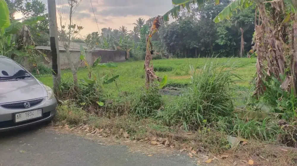 Dijual tanah murah di Caturharjo sleman dekat Ibarbo park jl Magelang