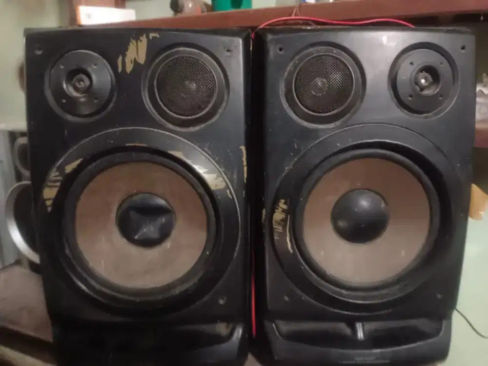 AIWA pasif speker 8 inch