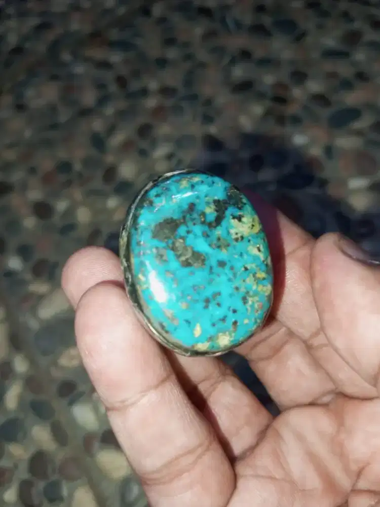 Pirus Persia Lawasan Eks Syekh Guru