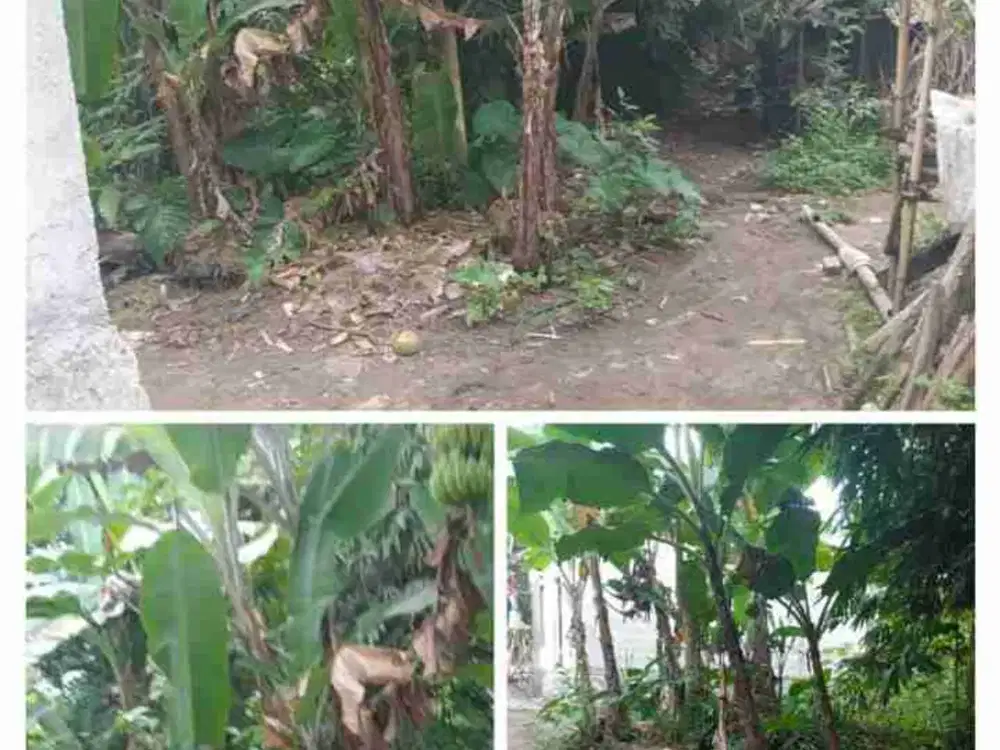 Tanah 500 m Murah Akses Mobil Dekat Kampus Untirta Sindangsari