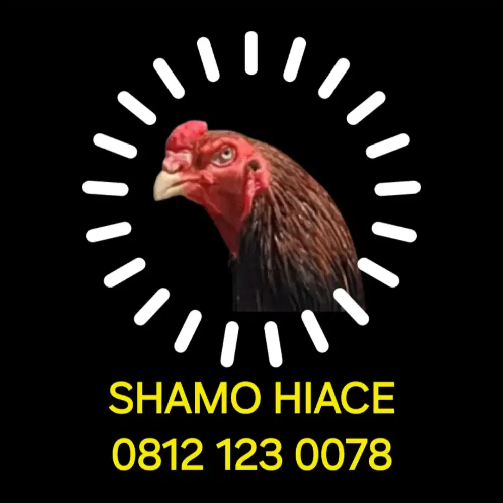 Anak Ayam Shamo Eropa Line Zuchter