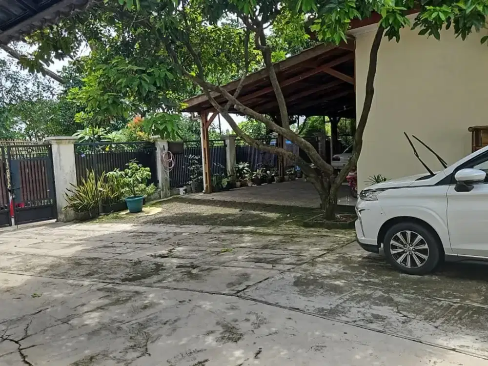 Dijual Rumah dan Usaha Kost di Nanggewer Cibinong, Harga Nego Sampe Deal!
