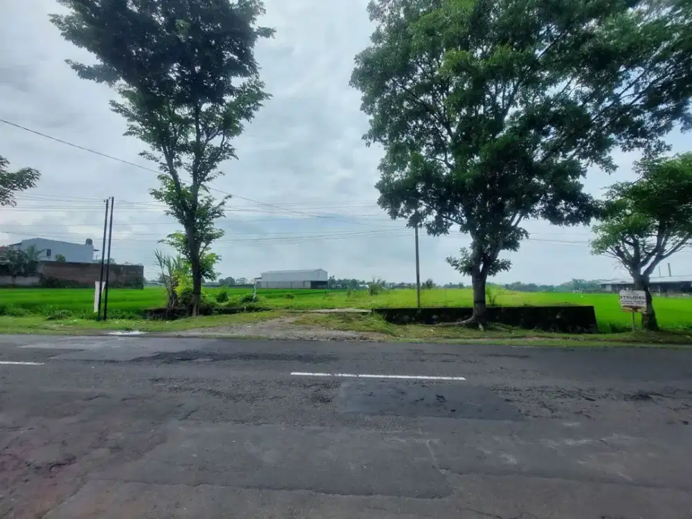 Tanah Lahan Pinggir Jalan Lawu Solo Tawangmangu Strategis