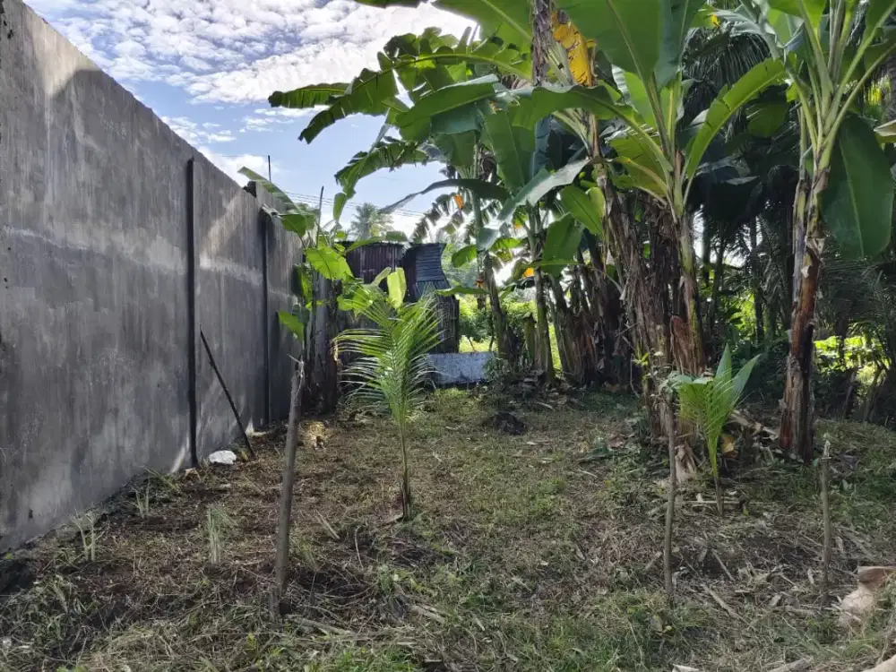 DI JUAL CEPAT LAHAN DI PONDOK NONGKO DADAPAN BANYUWANGI