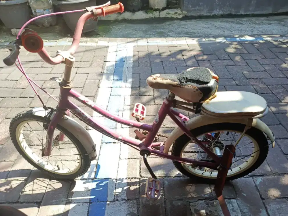 Sepeda anak cewek