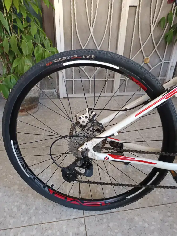 Sepeda polygon spark