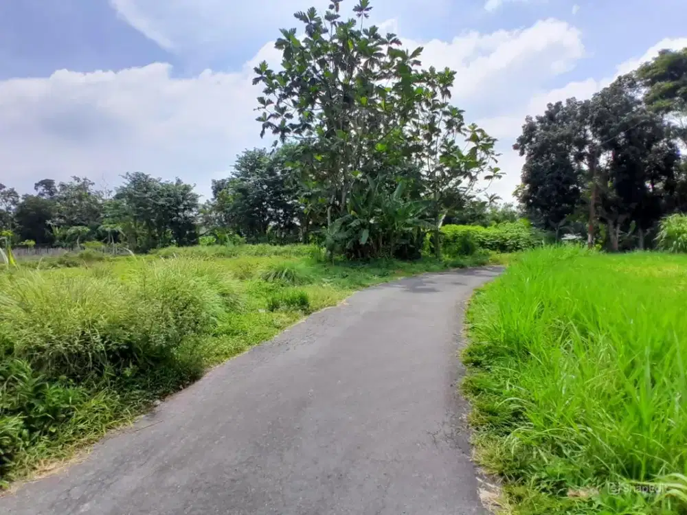 Tanah Apik Jogja Sardonoharjo Ngaglik Dekat Pasar Rejodani Jl. Palagan