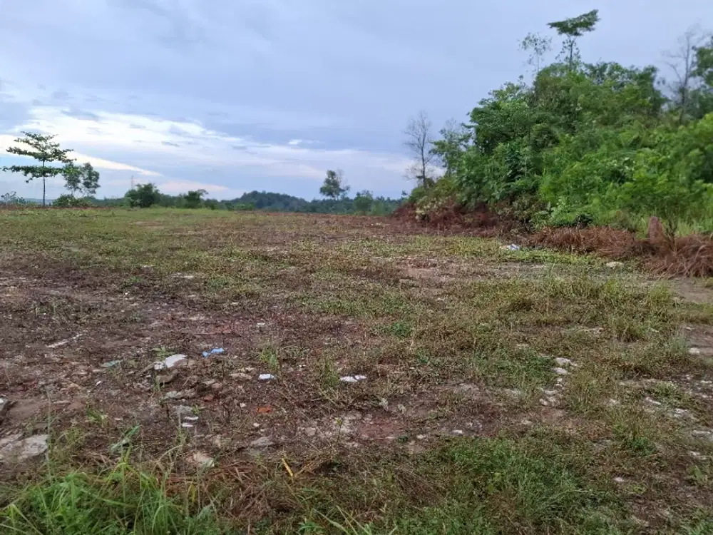Dijual Tanah Kariangau KM. 13