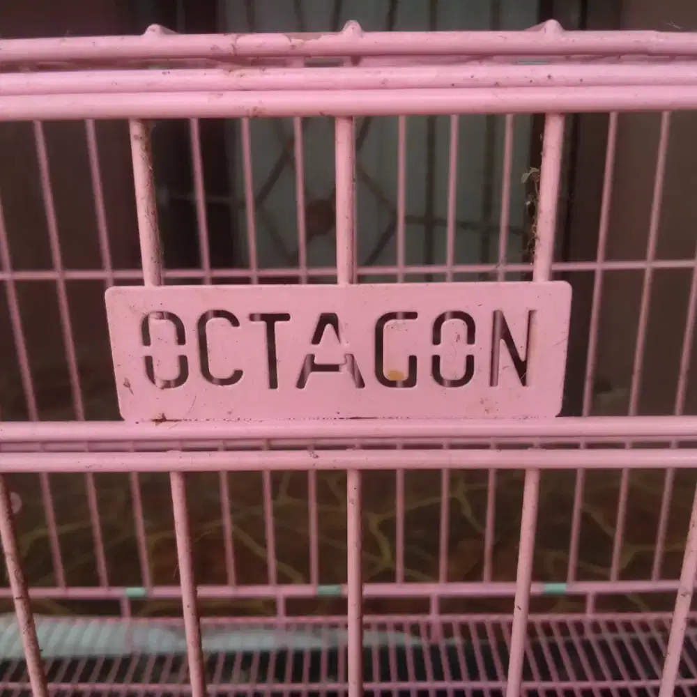 Kandang Kucing / Hewan Octagon