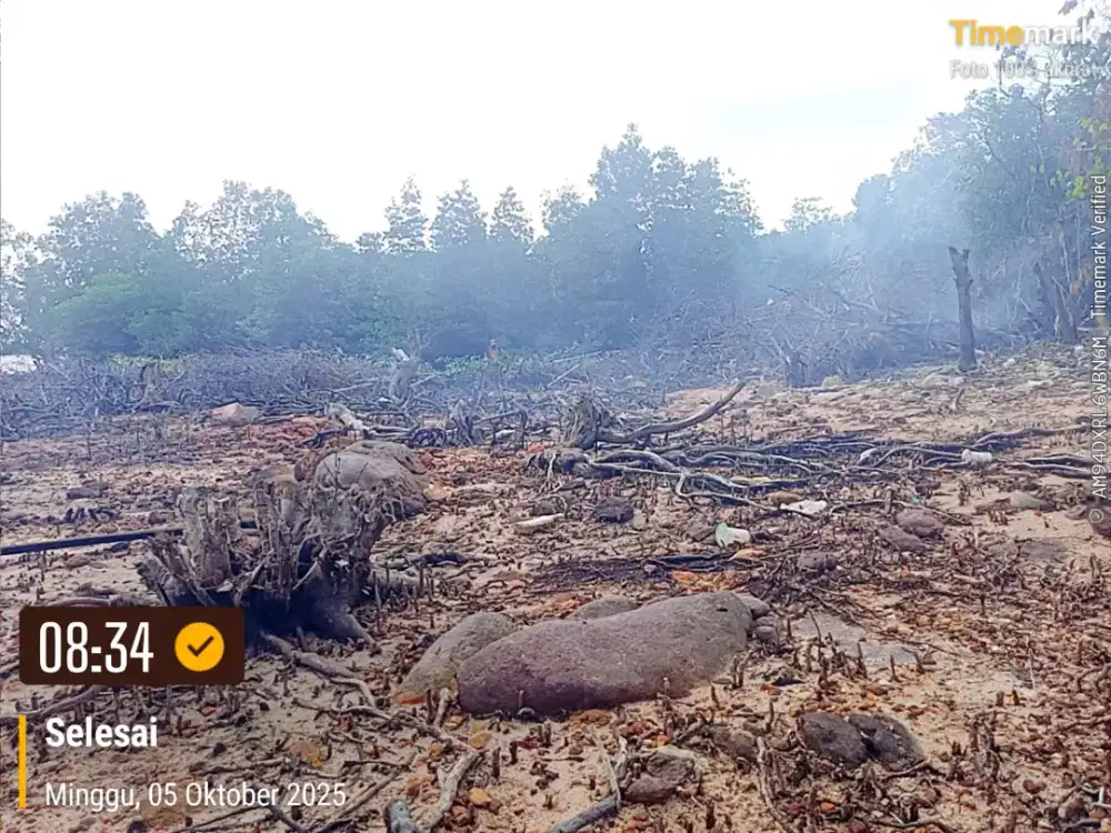 Bismillah di jual lahan milik pribadi